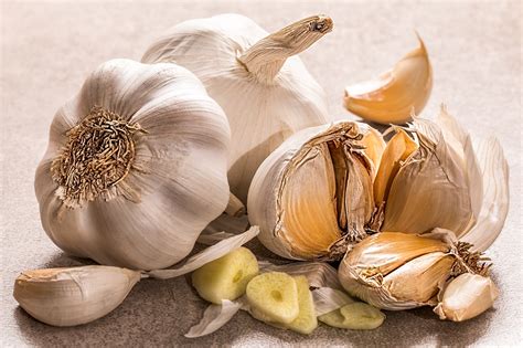 garlic deutsch|GARLIC